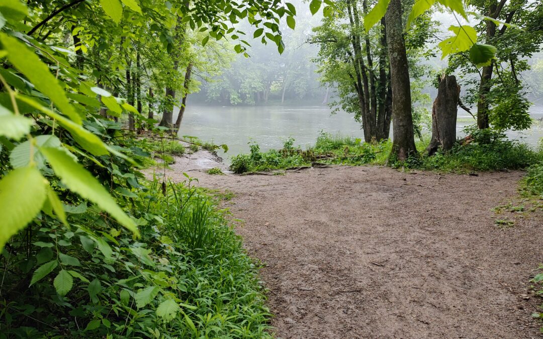 The Answer is Already Within You