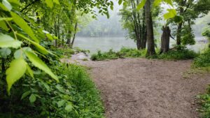 River Mist (Holliday Park)